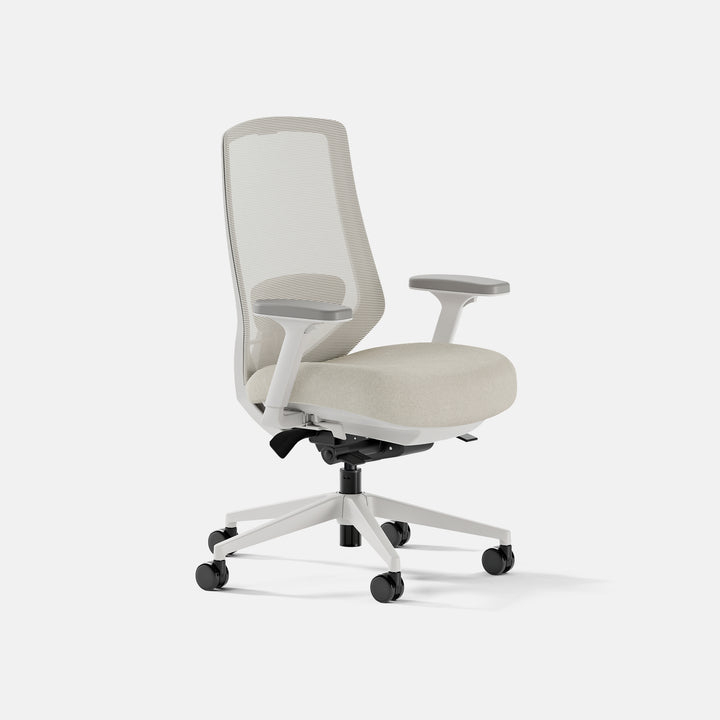 Branch Ergonomic Chair Pro front view
